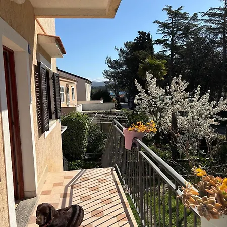 Liva Apartment *