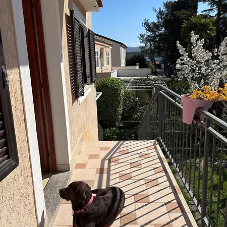 Liva